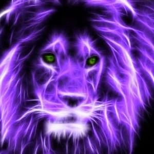 Meet your Posher, Shirley